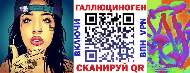 сколько стоит Чегем мега как войти Галлюциногенные грибы мицелий